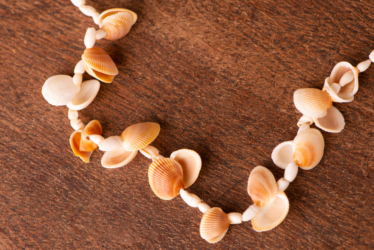 How To Make Your Own Seashell Necklace