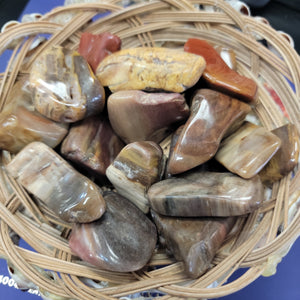 Petrified Wood Large tumbled stones