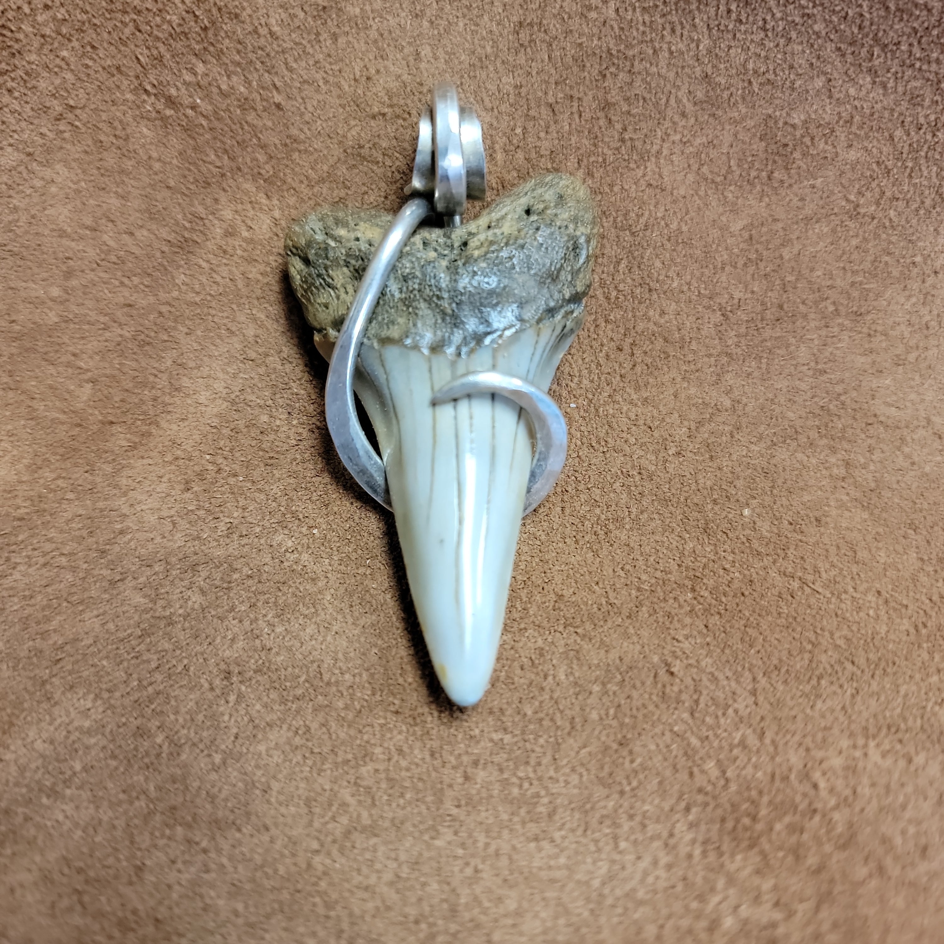 Great White Shark Pendent Sterling Silver Wrap