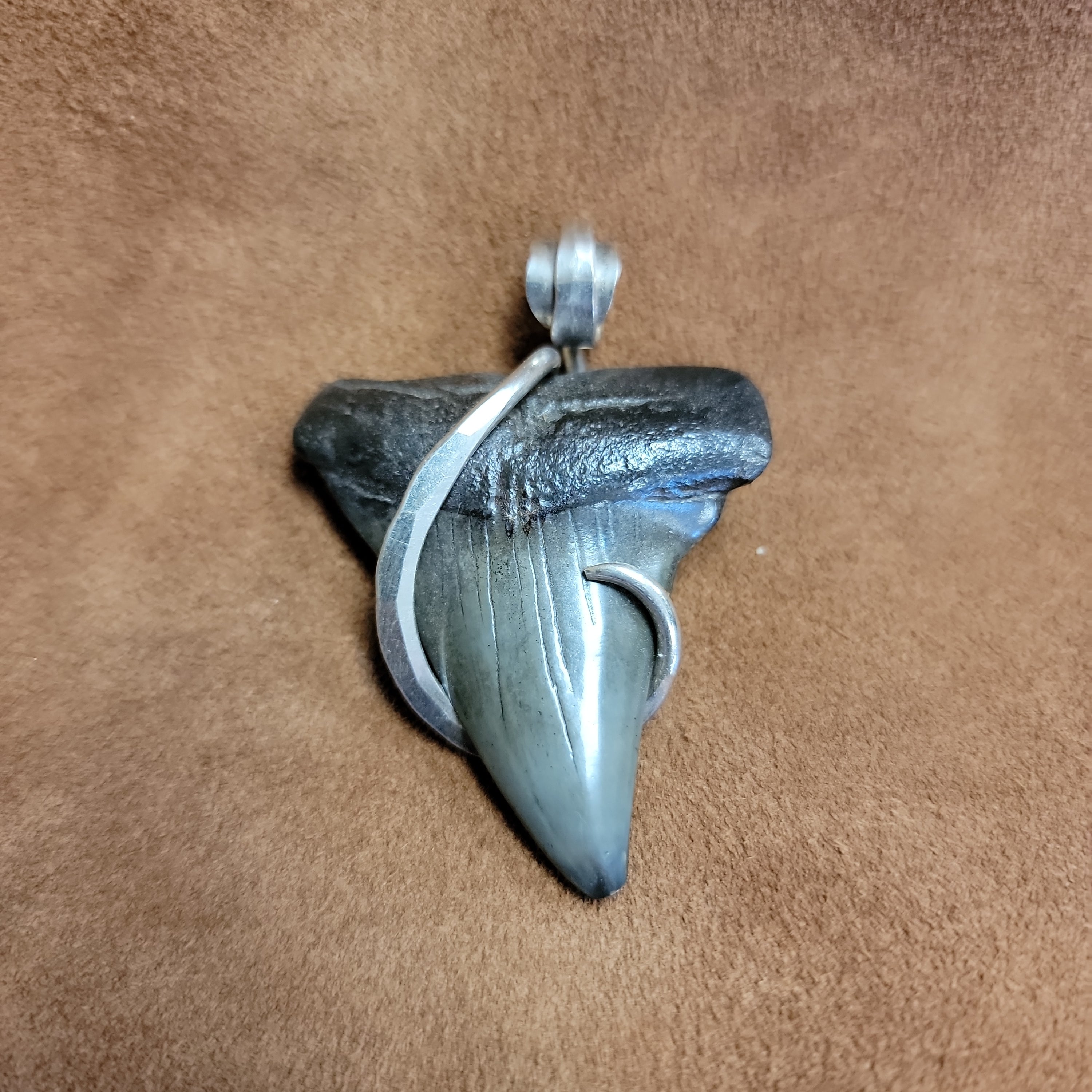 Great White Shark Pendent Sterling Silver Wrap