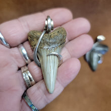 Great White Shark Pendent Sterling Silver Wrap