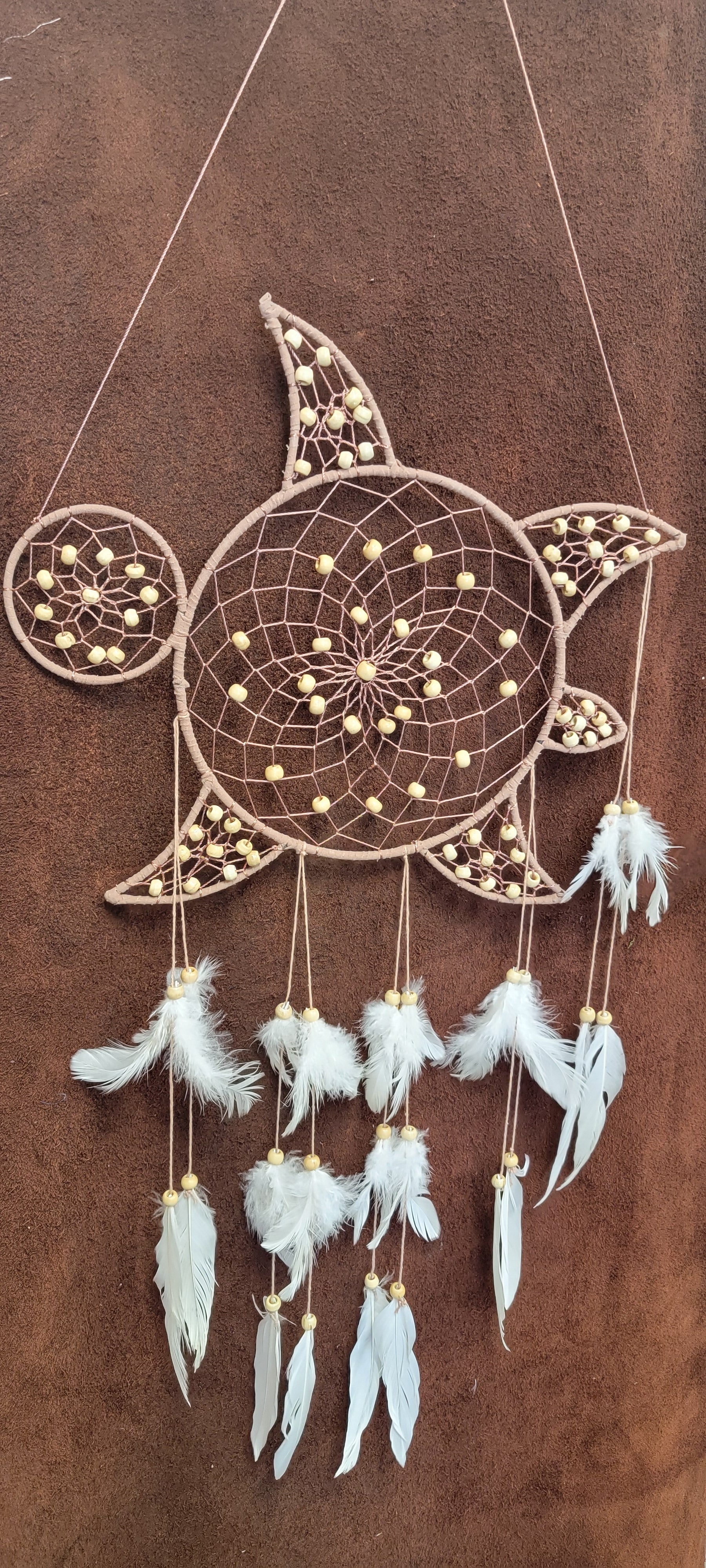 Turtle Dream Catcher