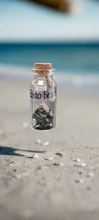 Shark Teeth in Bottle Edisto