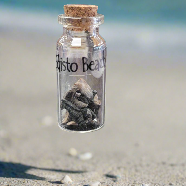 Shark Teeth in Bottle