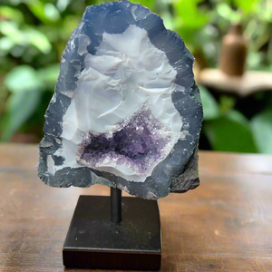 Elevate your home decor with our stunning Amethyst Speciman, featuring a beautiful purple hue and a sleek metal base. Bring a touch of elegance to any room with this unique and eye-catching centerpiece. Perfect for adding a sophisticated and calming atmosphere to your living space.