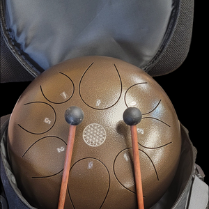 Steel Tongue Drum Large