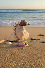 Shell figurine seahorse