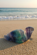 Fluorite Turtle 3.5 inches long