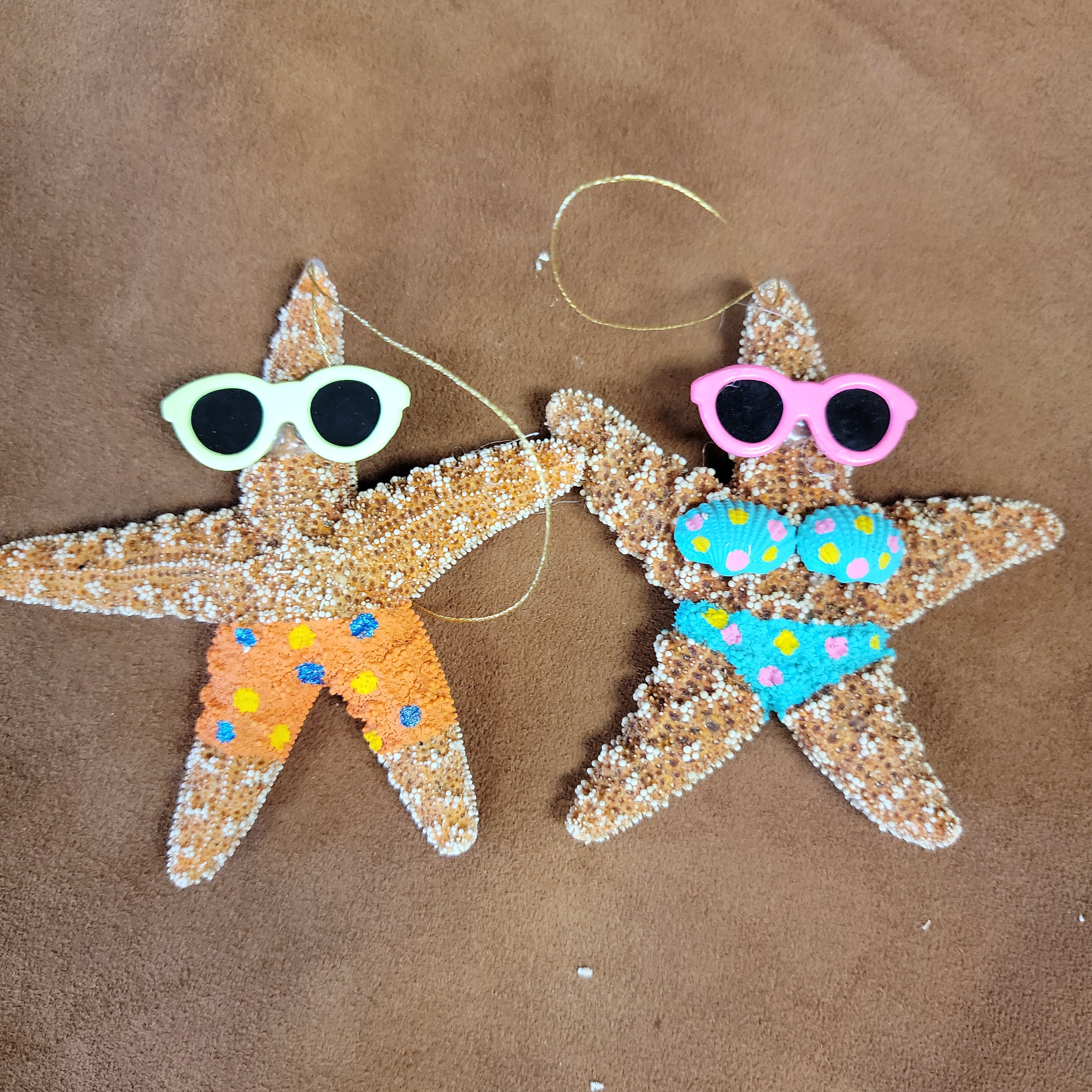 Sugar Starfish Tourist