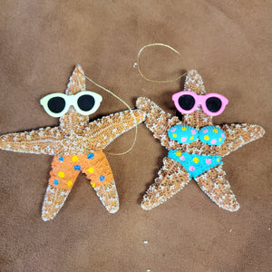 Sugar Starfish Tourist