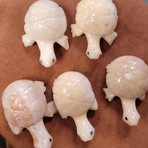 Ex Large Calcite Turtle