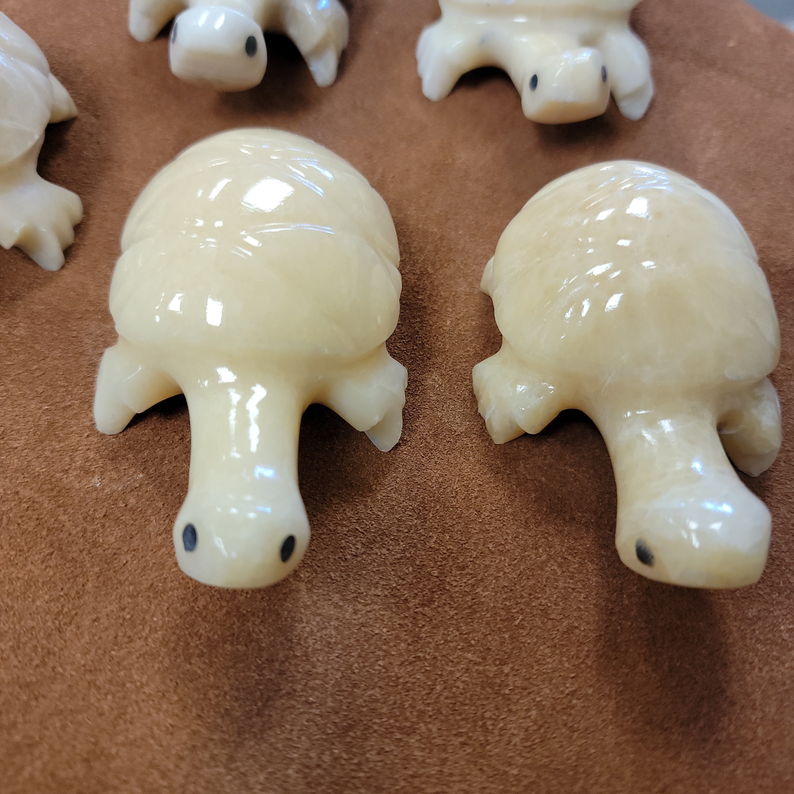 Large Calcite Turtle