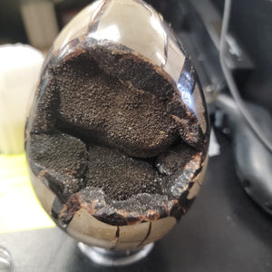 Septarian Egg SM