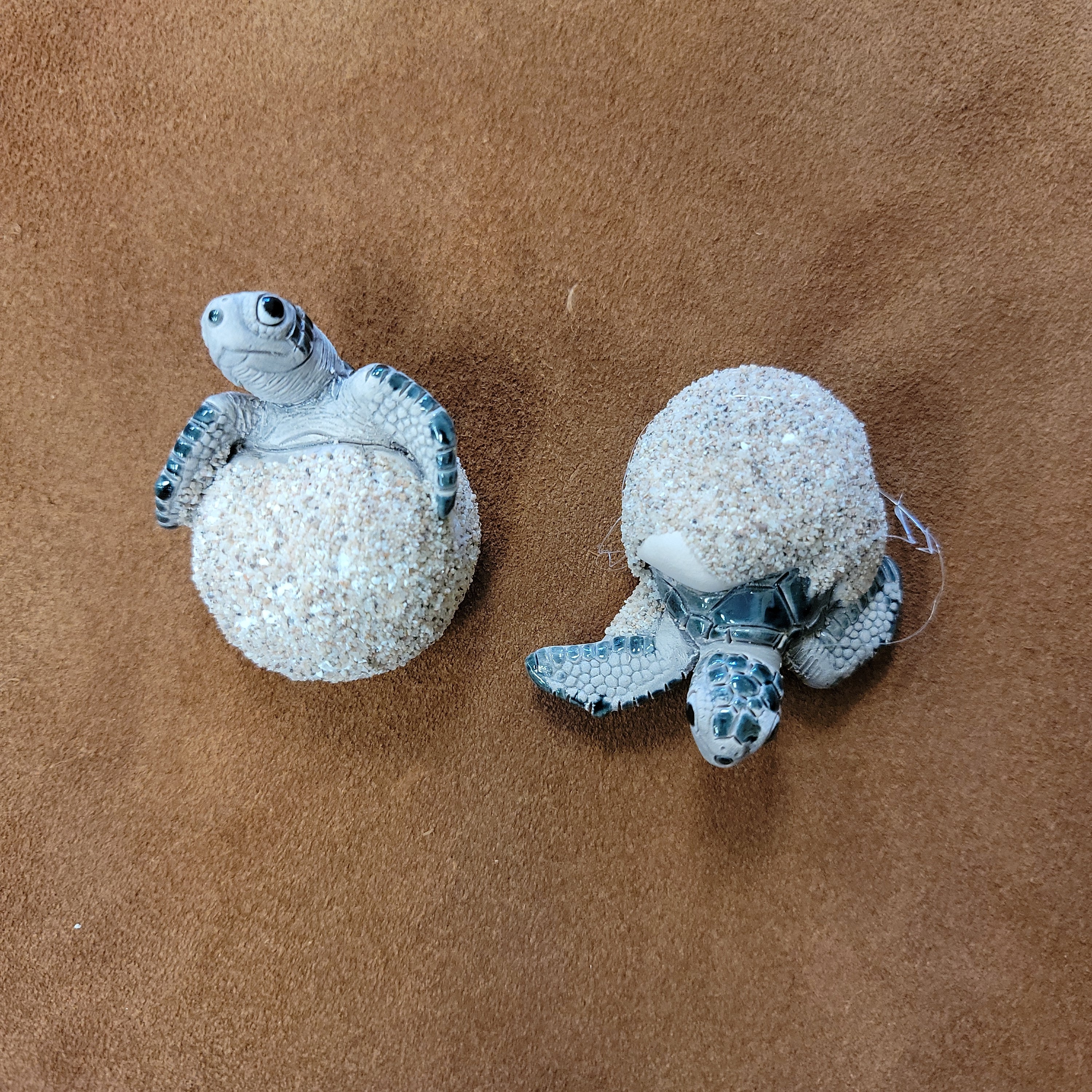 Turtle Magnets