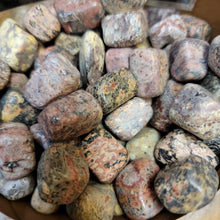 Leopard skin jasper tumbled