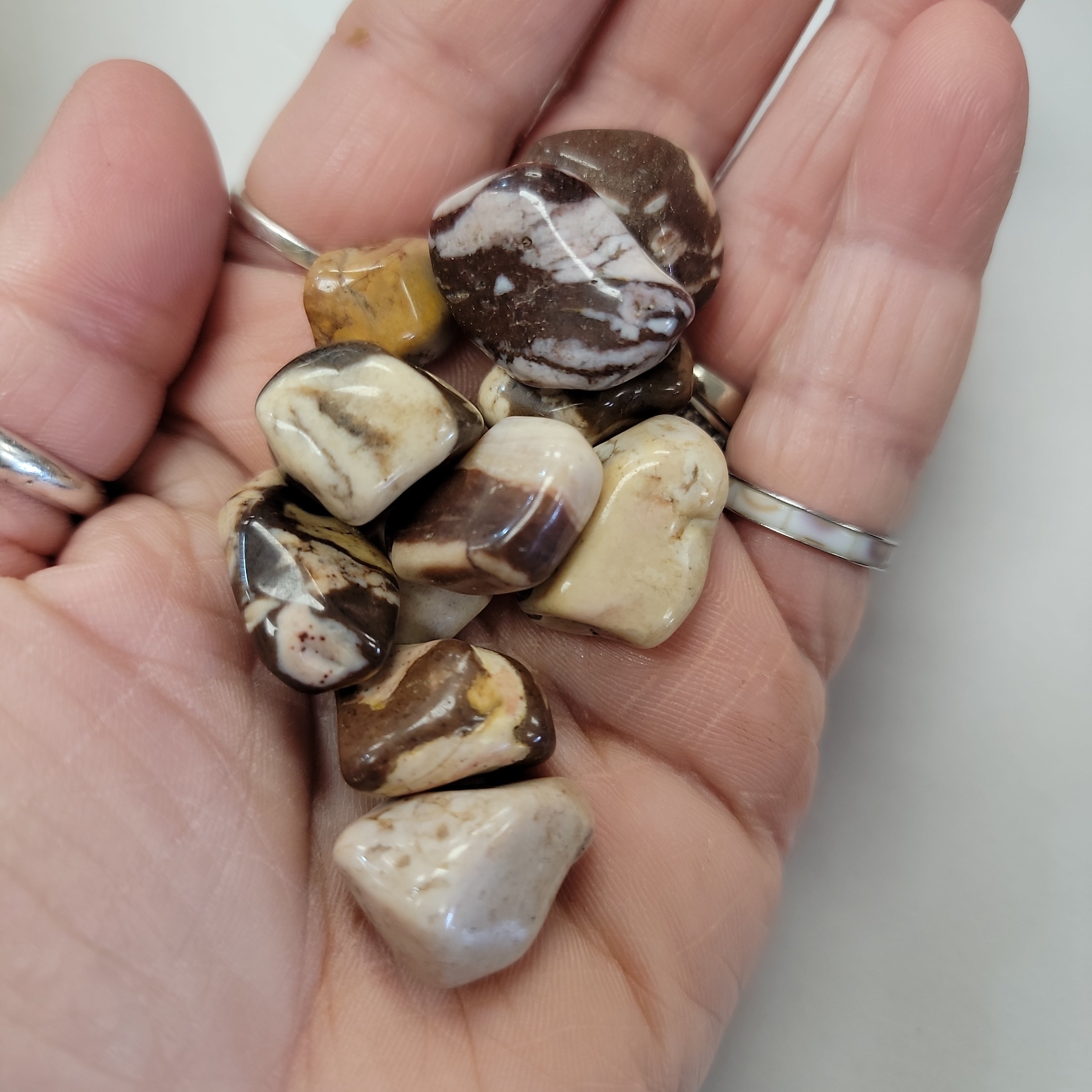 Zebra Jasper Small