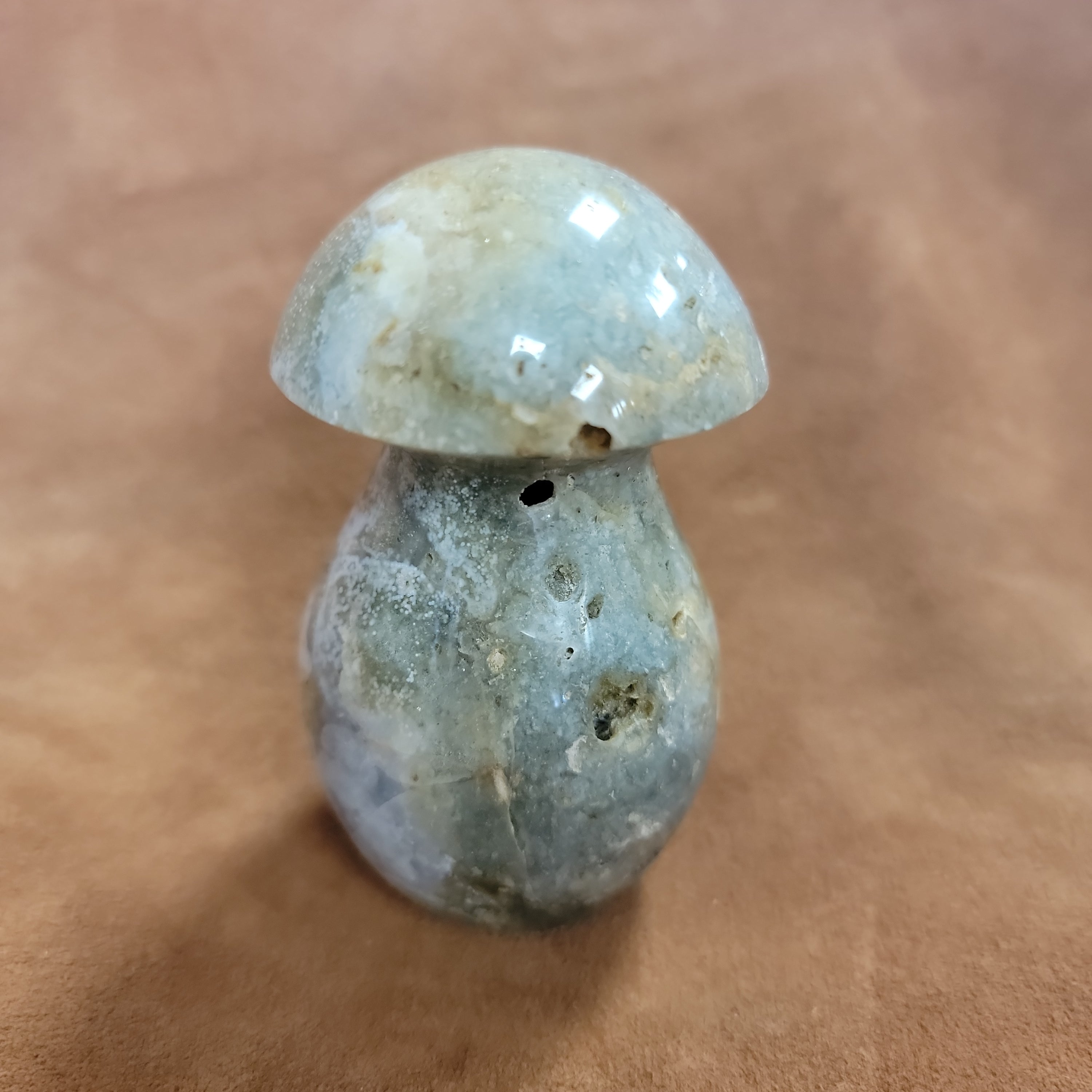 Ocean Jasper Mushroom