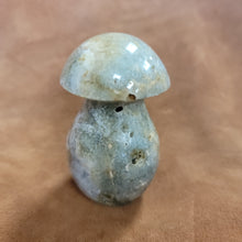 Ocean Jasper Mushroom