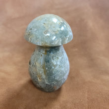 Ocean Jasper Mushroom