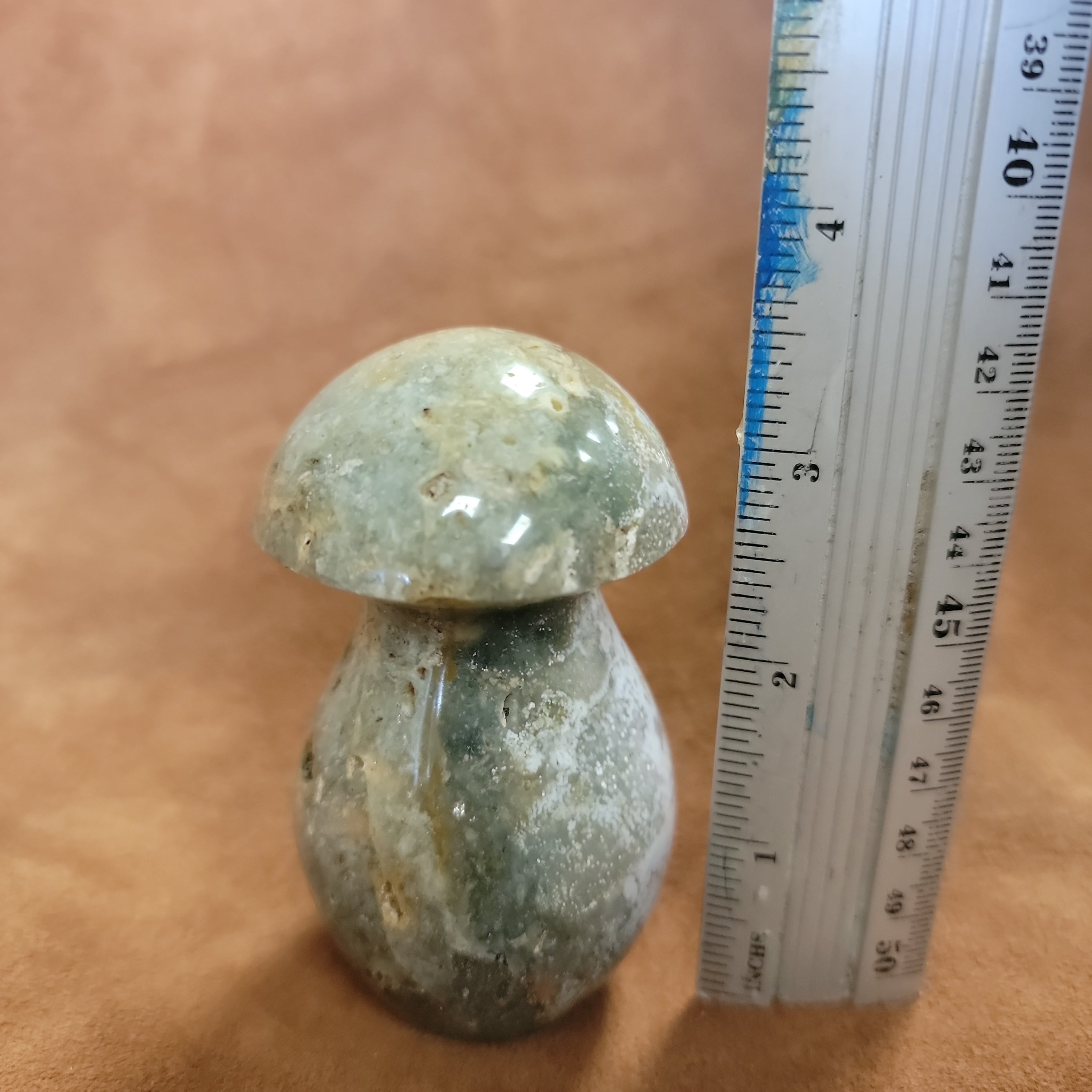 Ocean Jasper Mushroom