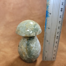 Ocean Jasper Mushroom