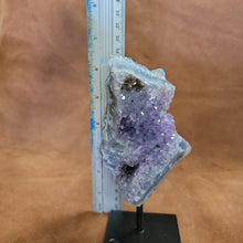As a product expert, I can confidently state that our Amethyst on a Stand boasts a stunning display of brilliant color. Each piece is hand-selected for its vibrant hues, ensuring a bold and unique addition to any collection. Transform your space with this natural wonder.Beautiful Amethyst on a pin stand measure approx 6.5 inches tall