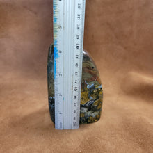 Ocean Jasper Freeform