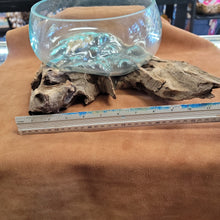 Handblown glass molted on teakwood Root