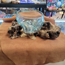 Handblown glass molted on teakwood Root