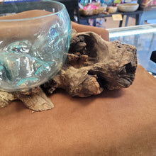 Handblown glass molted on teakwood Root