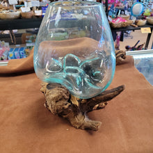 Handblown glass molted on teakwood Root