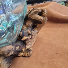 Handblown glass molted on teakwood Root