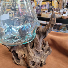 Handblown glass molted on teakwood Root