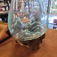 Handblown glass molted on teakwood Root