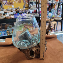 Handblown glass molted on teakwood Root