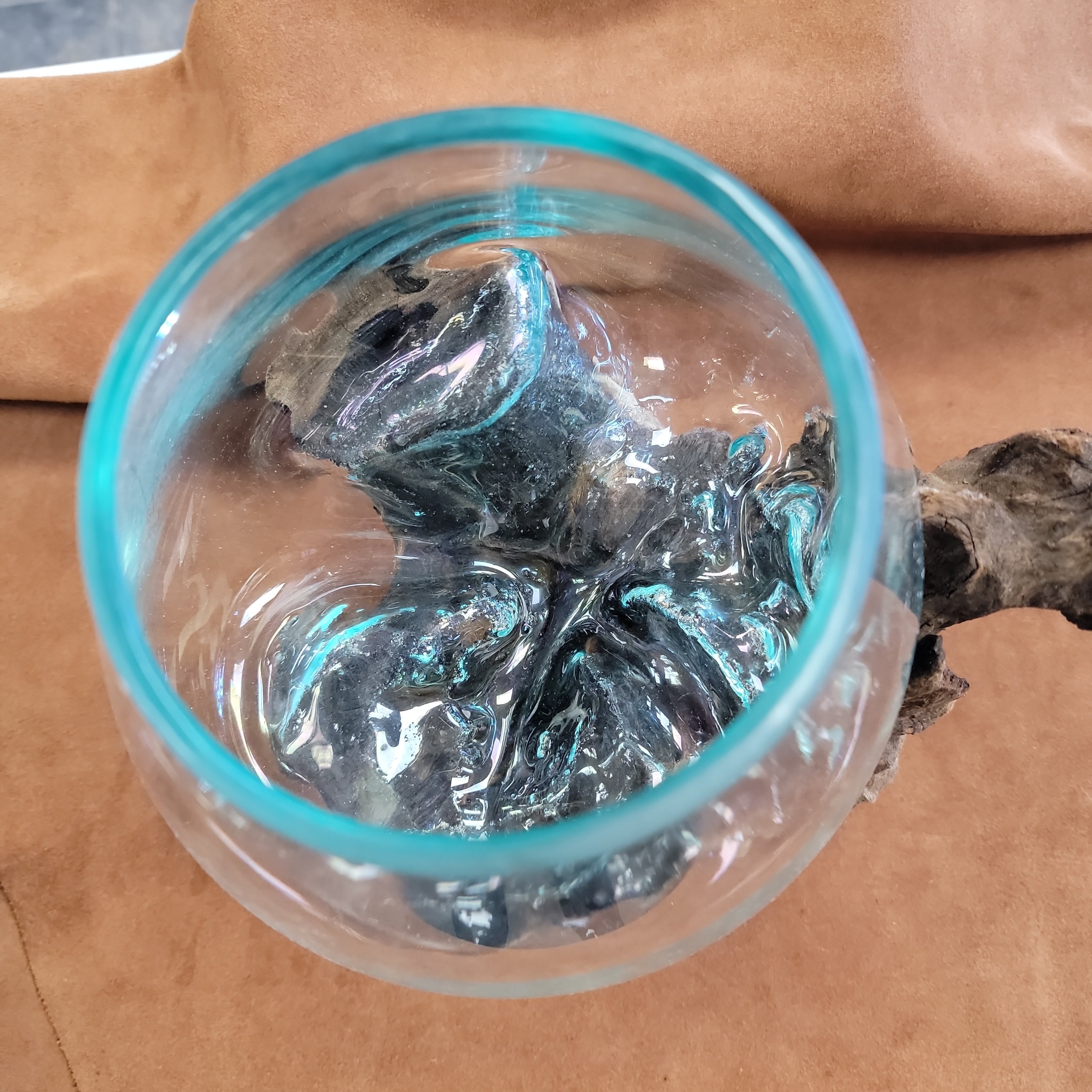 Handblown glass molted on teakwood Root