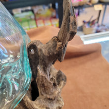 Handblown glass molted on teakwood Root