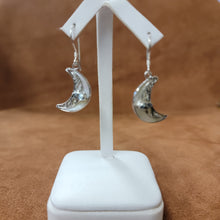 Vera Wolf Sterling Silver Earrings Moon with Light Blue Stone