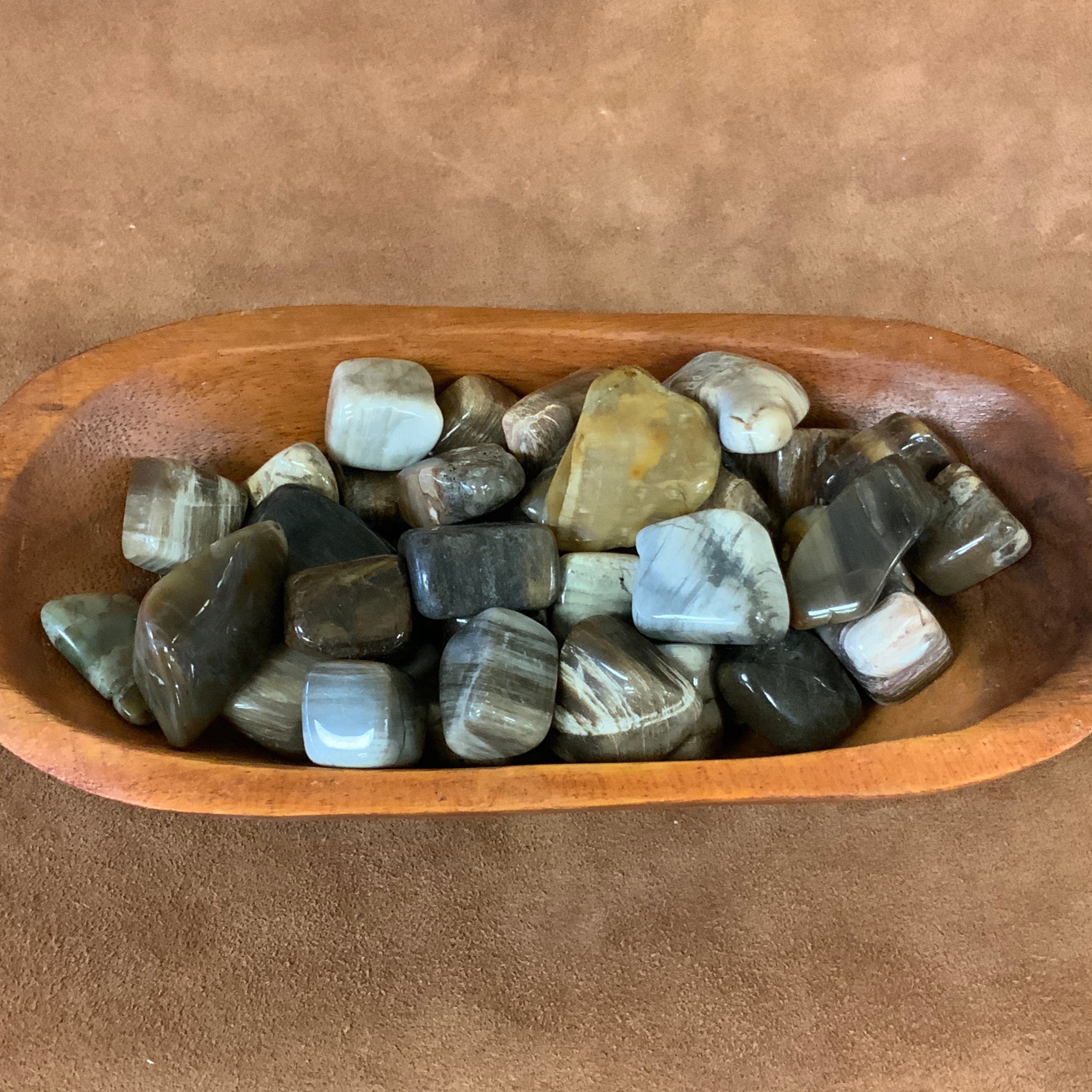 Petrified wood tumbled