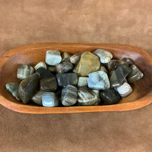 Petrified wood tumbled