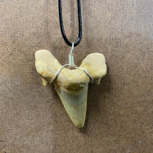 Shark Tooth Necklace LG