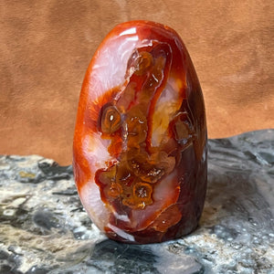 Carnelian free form 3.5”