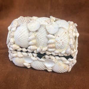 White Shell Box