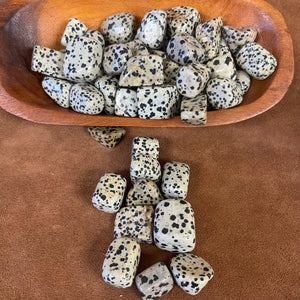 Dalmatian jasper tumbled stones