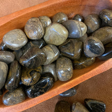 Stromatolite Tumbled