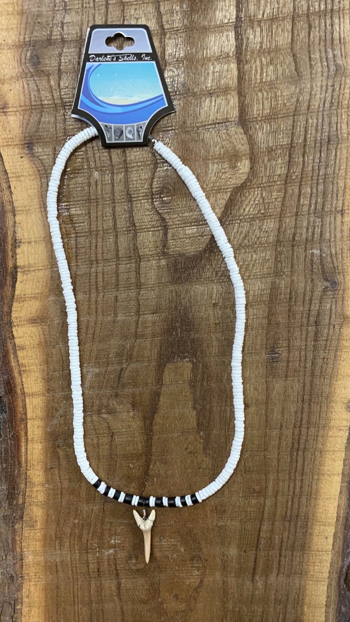 Shark Tooth In 20 Inch Necklace