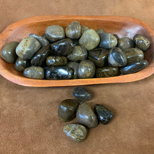 Stromatolite Tumbled