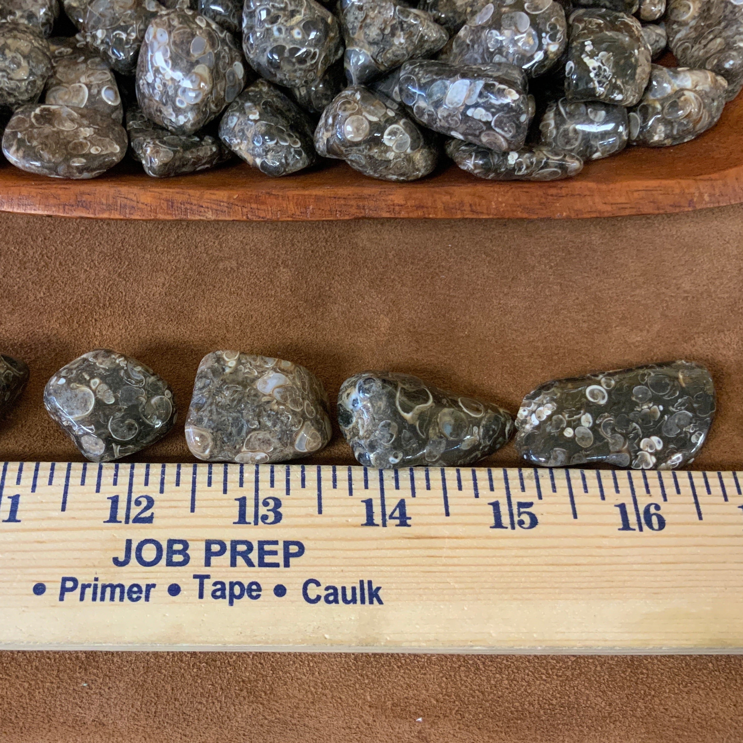 Turitella Agate Tumbled