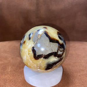Med Septarian Sphere
